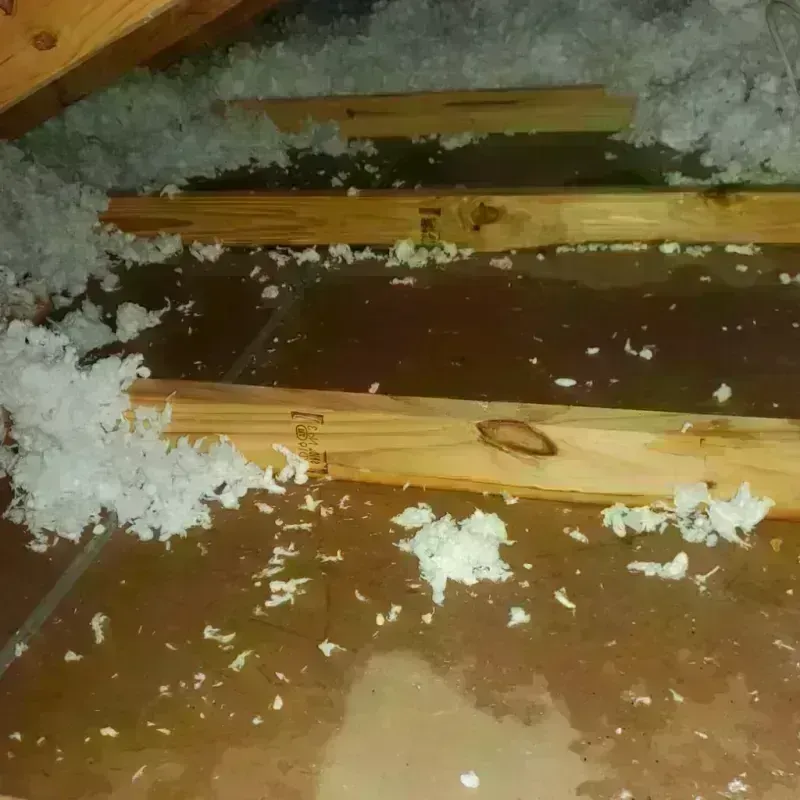 Attic Water Damage in Salem, MO