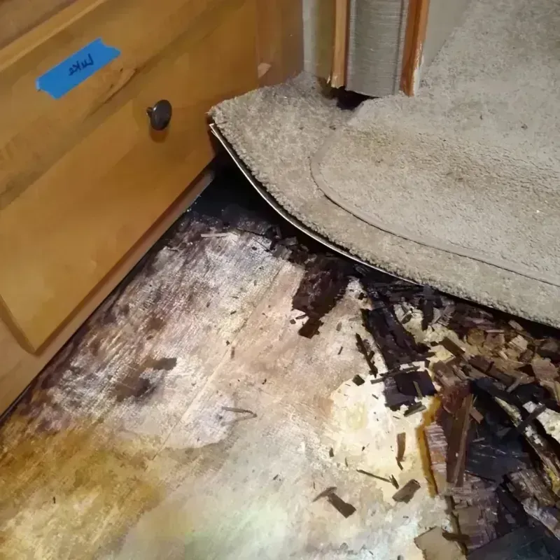 Wood Floor Water Damage in Salem, MO